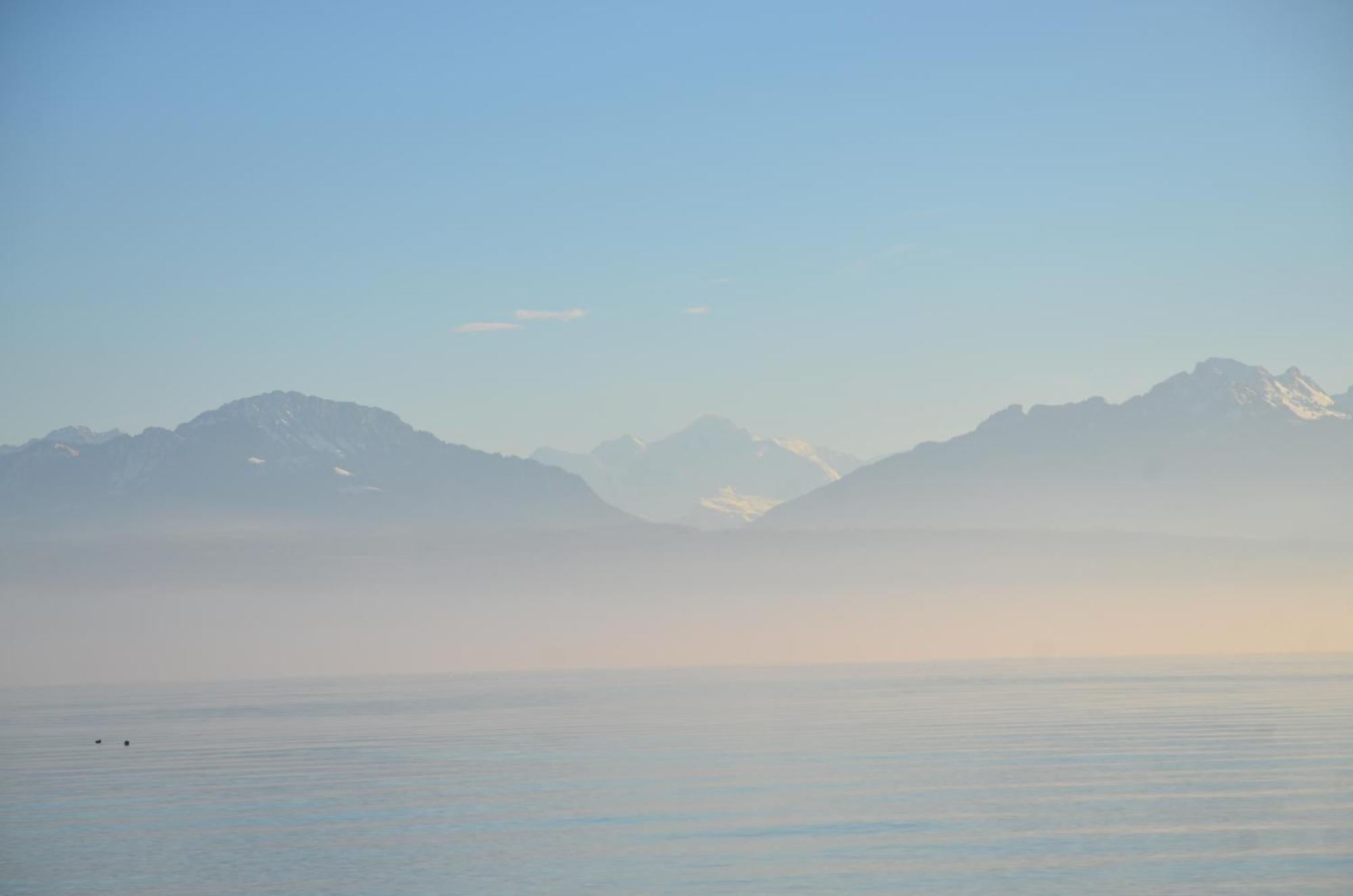 Bnb Chez Fanfan Morges Exterior foto